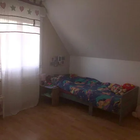 3 Chambres, Piscine Privee, Salle Cinema, Salle Jeu, Proche Route Des Vins Et Colmar Issenheim