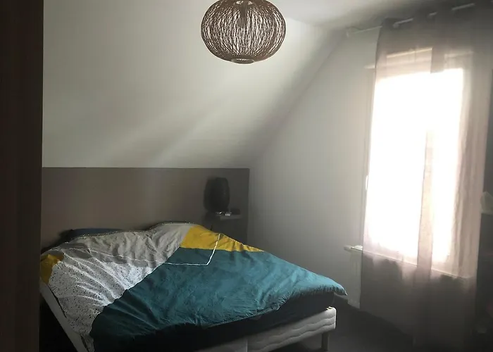 Villa 4 chambres, piscine privée, spa, salle cinéma, proche ski et Colmar